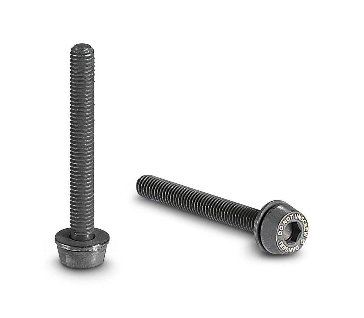 Campagnolo Bouten voor Schijfremklauw Achter 2 stuks