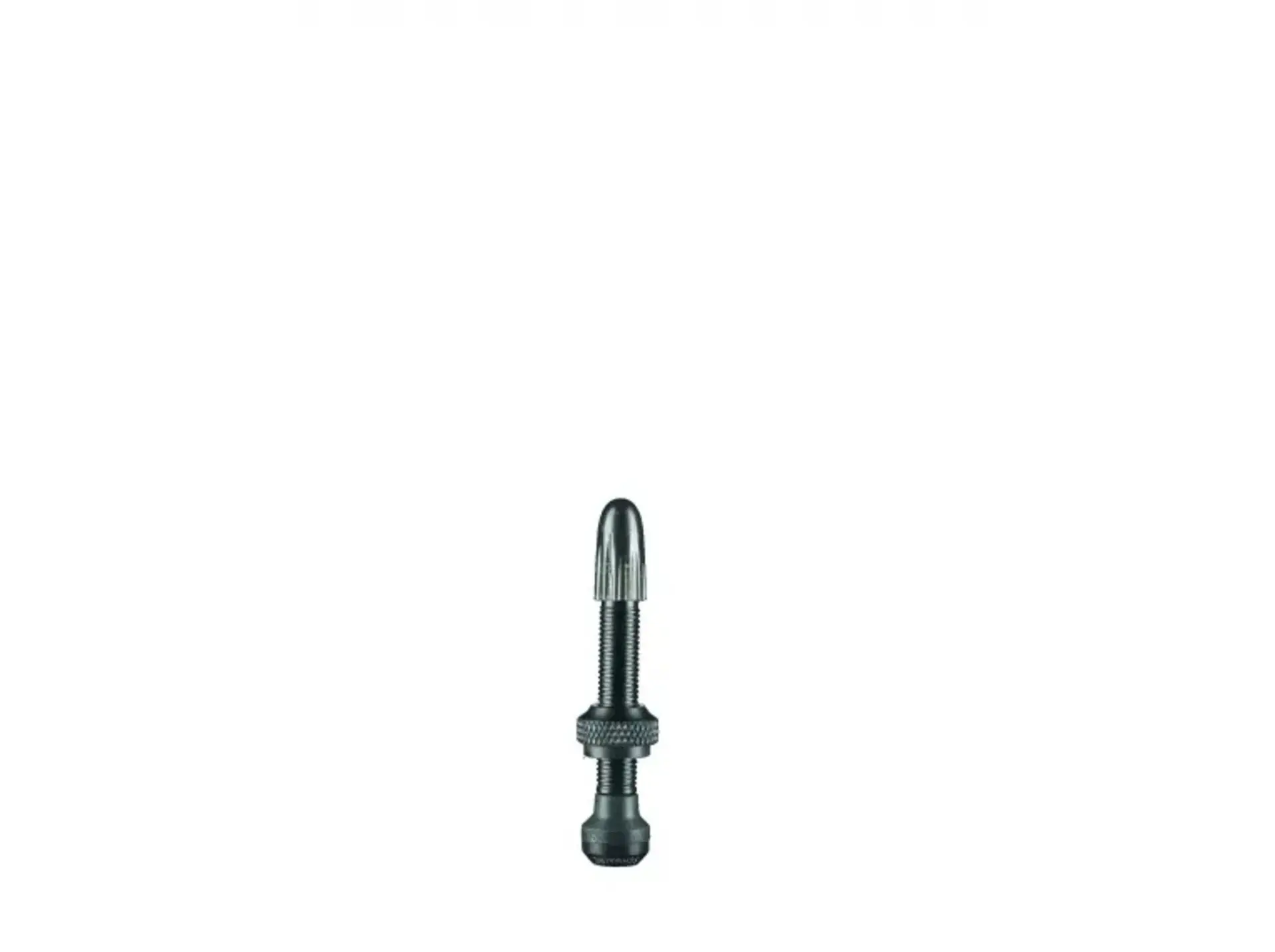 Schwalbe Tubeless Ventiel 2 stuks